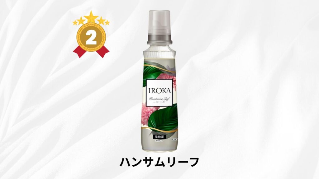 IROKA 人気ランキング 第2位